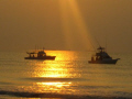   Bait fishing off Cocoa Beach sunrise  